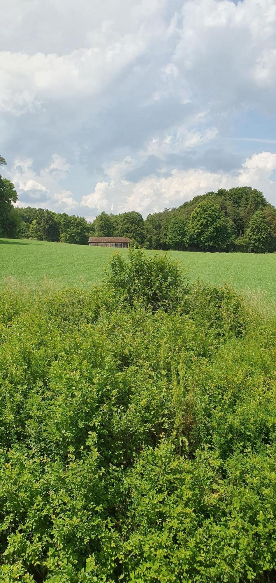 Ferienwohnung Gasthaus Zum Schneider Pottenstein Exterior foto